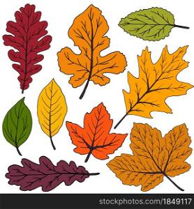 Set of vector drawings. Collection of colorful autumn leaves isolated on a white background. Good for social networks, advertising. Set of vector drawings. Good for autumn design