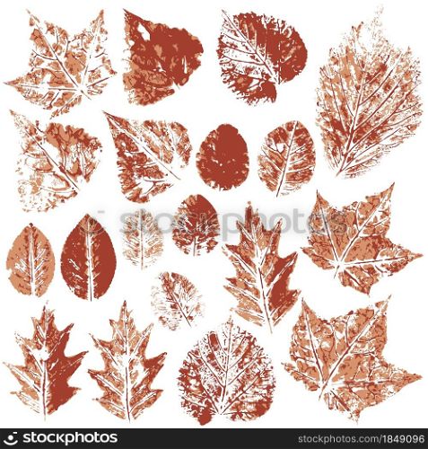 Set of vector drawings with acrylic paints. Collection of autumn leaves in brown. Two-color print, imprint. Good for autumn design of banners, flyers, advertising. Two-color print, imprint. Good for autumn design of banners, flyers, advertising