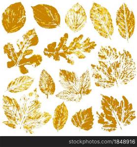 Set of vector drawings with acrylic paints. Collection of autumn leaves in orange. Two-tone prints of paint. Good for autumn design of banners, flyers. Set of vector drawings. Good for autumn design