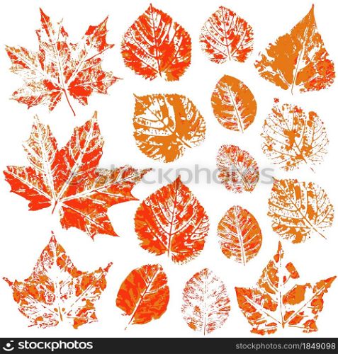 Set of vector drawings with acrylic paints. Collection of autumn leaves in orange. Two-tone prints of paint. Good for autumn design of banners, flyers, printing. Set of vector drawings. Good for autumn design