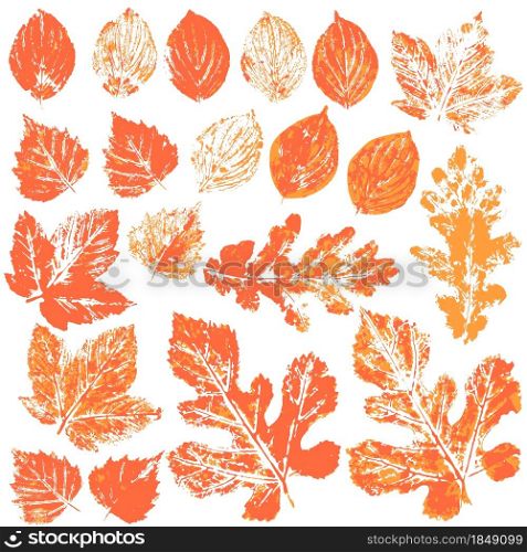 Set of vector drawings with acrylic paints. Collection of autumn leaves in orange. Two-tone prints of paint. Good for autumn design of banners. Set of vector drawings. Good for autumn design