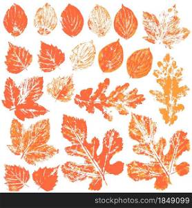 Set of vector drawings with acrylic paints. Collection of autumn leaves in orange. Two-tone prints of paint. Good for autumn design of banners. Set of vector drawings. Good for autumn design