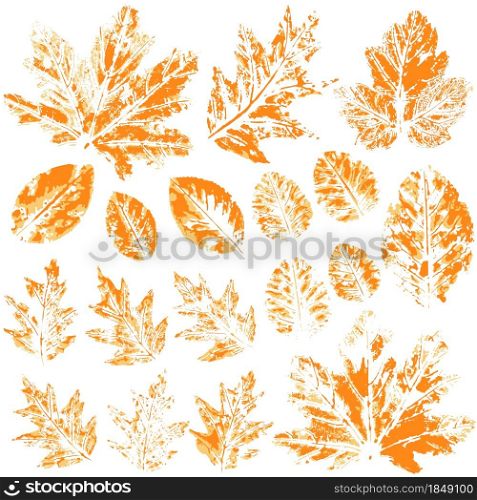 Set of vector drawings with acrylic paints. Collection of autumn leaves in orange. Two-tone prints of paint. Good for autumn design. Set of vector drawings. Good for autumn design