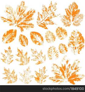 Set of vector drawings with acrylic paints. Collection of autumn leaves in orange. Two-tone prints of paint. Good for autumn design. Set of vector drawings. Good for autumn design