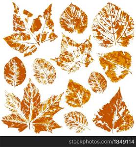 Set of vector drawings with acrylic paints. Collection of autumn leaves in orange. Two-tone prints of paint. Good for autumn design of banners, flyers, advertising, printing materials. Two-color print, imprint. Good for autumn design of banners, flyers, advertising