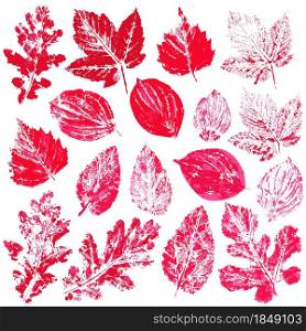 Set of vector drawings with acrylic paints. Collection of autumn leaves in red. Two-color print, imprint. Good for autumn design of banners, flyers. Set of vector drawings. Good for autumn design