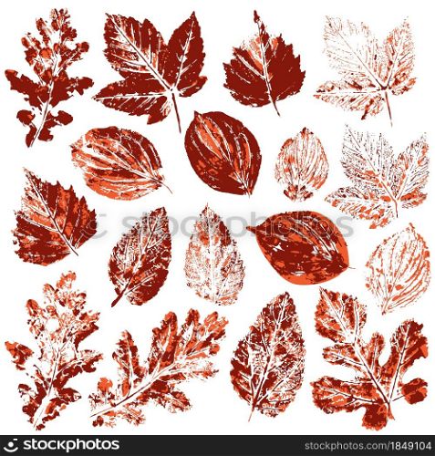 Set of vector drawings with acrylic paints. Collection of autumn leaves in red. Two-color print, imprint. Good for autumn design of banners. Set of vector drawings. Good for autumn design