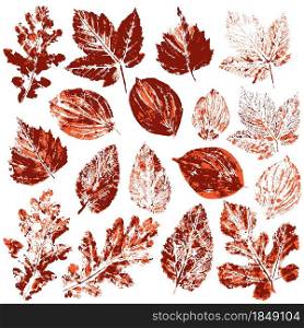 Set of vector drawings with acrylic paints. Collection of autumn leaves in red. Two-color print, imprint. Good for autumn design of banners. Set of vector drawings. Good for autumn design