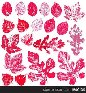 Set of vector drawings with acrylic paints. Collection of autumn leaves in red. Two-color print, imprint. Good for autumn design. Set of vector drawings. Good for autumn design