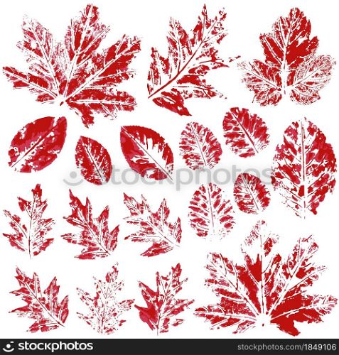 Set of vector drawings with acrylic paints. Collection of autumn leaves in red. Two-color print. Good for autumn design. Two-color print, imprint. Good for autumn design of banners, flyers, advertising