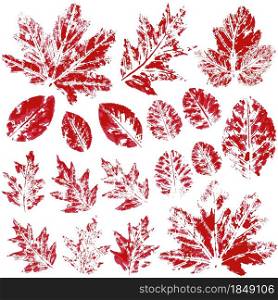 Set of vector drawings with acrylic paints. Collection of autumn leaves in red. Two-color print. Good for autumn design. Two-color print, imprint. Good for autumn design of banners, flyers, advertising