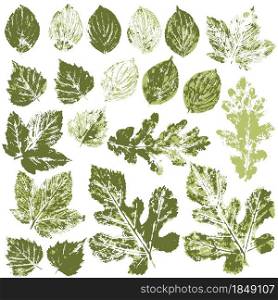 Set of vector drawings with acrylic paints. Collection of autumn or spring green leaves. Two-color print, imprint. Good for the design of banners, flyers, advertising. Set of vector drawings. Good for autumn design