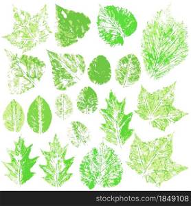 Set of vector drawings with acrylic paints. Collection of autumn or spring green leaves. Two-color print, imprint. Good for the design of banners, flyers. Set of vector drawings. Good for autumn design