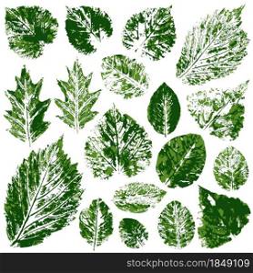 Set of vector drawings with acrylic paints. Collection of autumn or spring green leaves. Two-color print, imprint. Good for the design of banners. Set of vector drawings. Good for autumn design