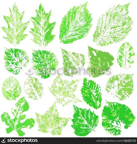 Set of vector drawings with acrylic paints. Collection of autumn or spring green leaves. Two-color print, imprint. Good for the design. Set of vector drawings. Good for autumn design