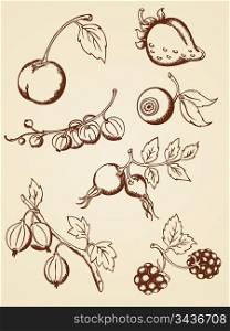 set of vector hand drawn berries in retro style