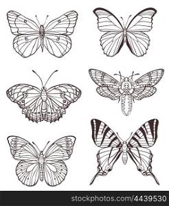 Set of vector hand drawn butterflies