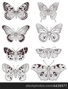 Set of vector hand drawn butterflies on a white background