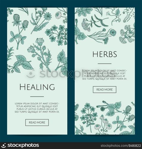 Set of vector hand drawn medical herbs web banner and poster templates illustration. Vector hand drawn medical herbs web banner templates illustration