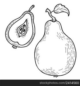 Set of vector hand drawn pear. Beautiful whole fruit with leaf and cut half. Vector illustration. hand drawn line art style for design, decor and decoration