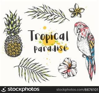 Set of vector hand drawn summer tropical design elements. Parrot, pineapple, tropical flowers and palm leaves on a white background. Parrot and tropical plants