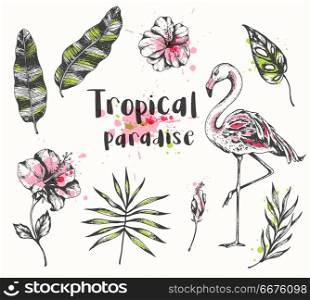 Set of vector hand drawn summer tropical design elements. Pink flamingo, palm and banana leaves.. Pink flamingo, palm and banana leaves.
