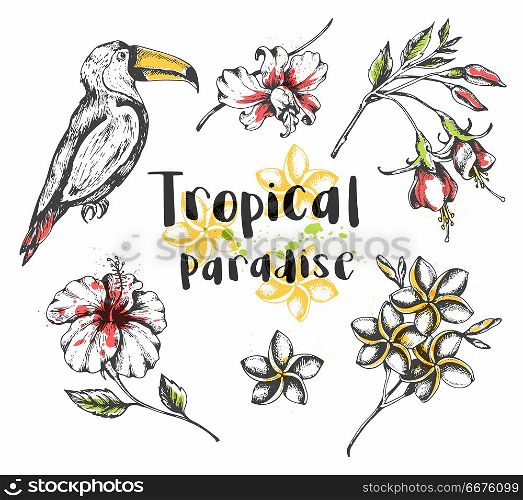Set of vector hand drawn summer tropical design elements. Toucan bird and tropical flowers. Toucan bird and tropical flowers