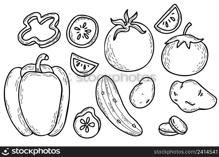 Set of vector hand drawn vegetables. Potatoes, peppers, cucumber and tomatoes. Whole vegetables and cut pieces. Vector illustration. Linear hand drawn doodle style for design, decor and decoration