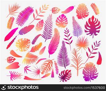 Set of vector illustration of tropical fern leaves in color. Exotic art design. Natural decorative element isolated. Beautiful graphic art. Retro decorative background for textile print and decor.. Set of vector illustration of tropical fern leaves in color
