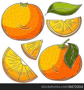 Set of vector illustrations in hand drawn style. Children’s drawings, poster with fruits. Orange, tangerine. Collection of icons, stickers. Set of vector illustrations in hand drawn style