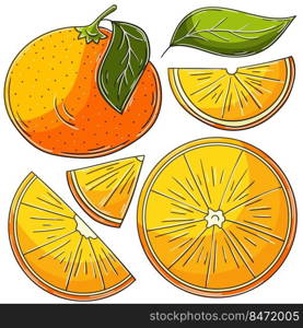 Set of vector illustrations in hand drawn style. Children’s drawings, poster with fruits. Orange, tangerine. Collection of icons, signs, stickers. Set of vector illustrations in hand drawn style