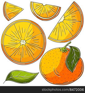 Set of vector illustrations in hand drawn style. Children’s drawings, poster with fruits. Orange, tangerine. Collection of icons, signs, pins, stickers. Set of vector illustrations in hand drawn style