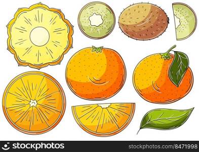 Set of vector illustrations in hand drawn style. Children’s drawings, poster with tropical fruits. Collection of icons, stickers. Exotic fruits. Set of vector illustrations in hand drawn style
