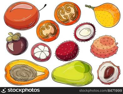 Set of vector illustrations in hand drawn style. Children’s drawings, poster with tropical fruits. Collection of icons, badges, stickers. Exotic fruits. Set of vector illustrations in hand drawn style