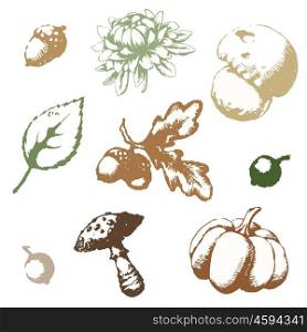 Set of vector images on the theme of autumn