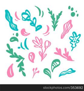 Set of vector isolated flat flower on white background. summer scandinavian floral hand drawn nature illustration wedding design. For greeting card, print.. Set of vector isolated flat flower on white background. summer scandinavian floral hand drawn nature illustration wedding design. For greeting card, print
