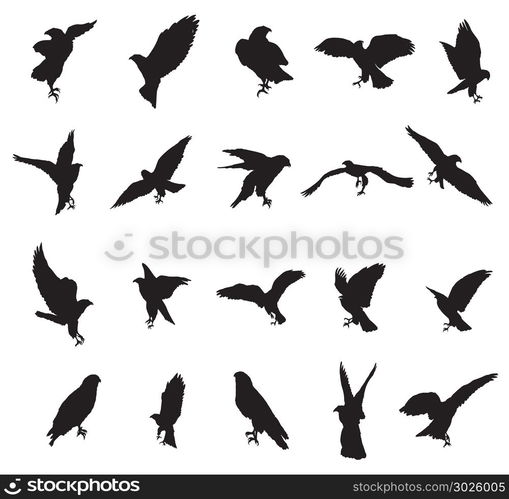 Set of vector monochrome cut out flying and sitting silhouettes of eagle, hawk isolated on white background