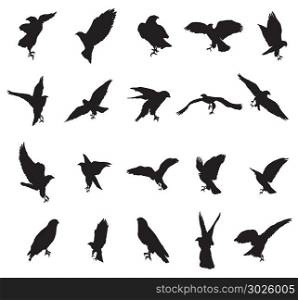 Set of vector monochrome cut out flying and sitting silhouettes of eagle, hawk isolated on white background
