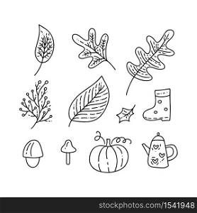 Set of vector monoline doodle floral elements. Autumn collection graphic design. Herbs, leaves, boots, cup and pumpkin. Hand drawn thanksgiving modern fall decor.. Set of vector monoline doodle floral elements. Autumn collection graphic design. Herbs, leaves, boots, cup and pumpkin. Hand drawn thanksgiving modern fall decor