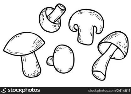 Set of vector mushrooms. Beautiful whole mushrooms and piece of ch&ignon mushroom cut in half. Vector illustration. Linear hand drawn doodle style for design, decor and decoration, recipe and menu