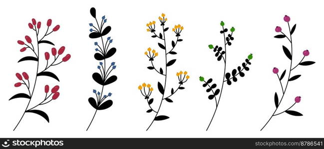 Set of vector plants and herbs. Hand drawn floral elements. Silhouettes of natural elements for seasonal backgrounds. Doodle style. Vector illustration