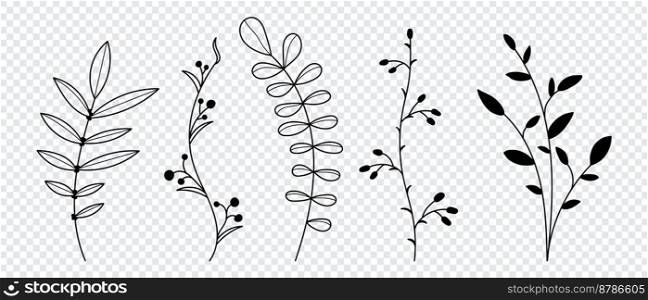 Set of vector plants and herbs. Hand drawn floral elements. Silhouettes of natural elements for seasonal backgrounds. Vector illustration