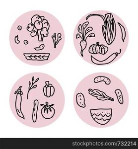 Set of vector round badges of vegetables. Collection of veg in doodle style isolated on white background.