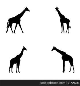 Set of vector silhouettes of giraffes on white background