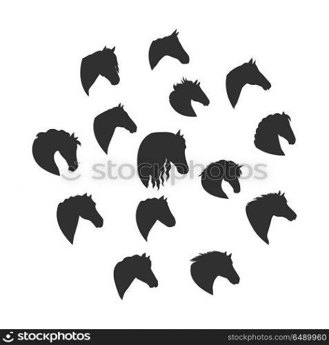 Set of Vector Silhouettes of Horse Heads . Collection os silhouettes of horse heads. Domestic animals. Vector in flat style design. For pets inforgaphics, app icons, equestrian club logo and web page design. Isolated on white background