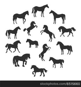 Set of Vector Silhouettes of Horses Breeds. Collection of vector silhouettes of horses breeds in different poses. Standing, runnung, rearing horses. Flat style. For inforgaphics, app icons, equestrian club logo and web design. Isolated on white