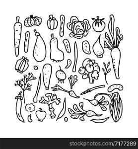 Set of vector sketch vegetables. Collection of veg in doodle style isolated on white background. Coloring pages.
