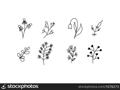 Set of vector sketches and line doodles logo. Hand drawn design elements isolated flowers, leaves, herbs for decoration prints, labels, patterns. Illustration coloring book.. Set of vector sketches and line doodles logo. Hand drawn design elements isolated flowers, leaves, herbs for decoration prints, labels, patterns. Illustration coloring book