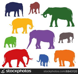 Set of vector standing indian and african elephants in different colors on white background