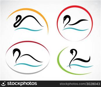 Set of vector swans. Set of vector swans on white background